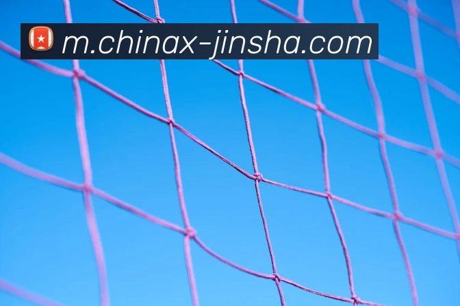 金沙娱乐城平台生态图